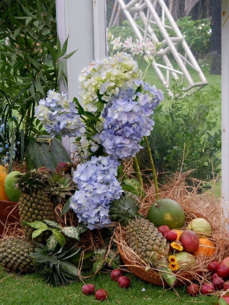 Miền nhiệt đới Blue Forest - Ecovillage