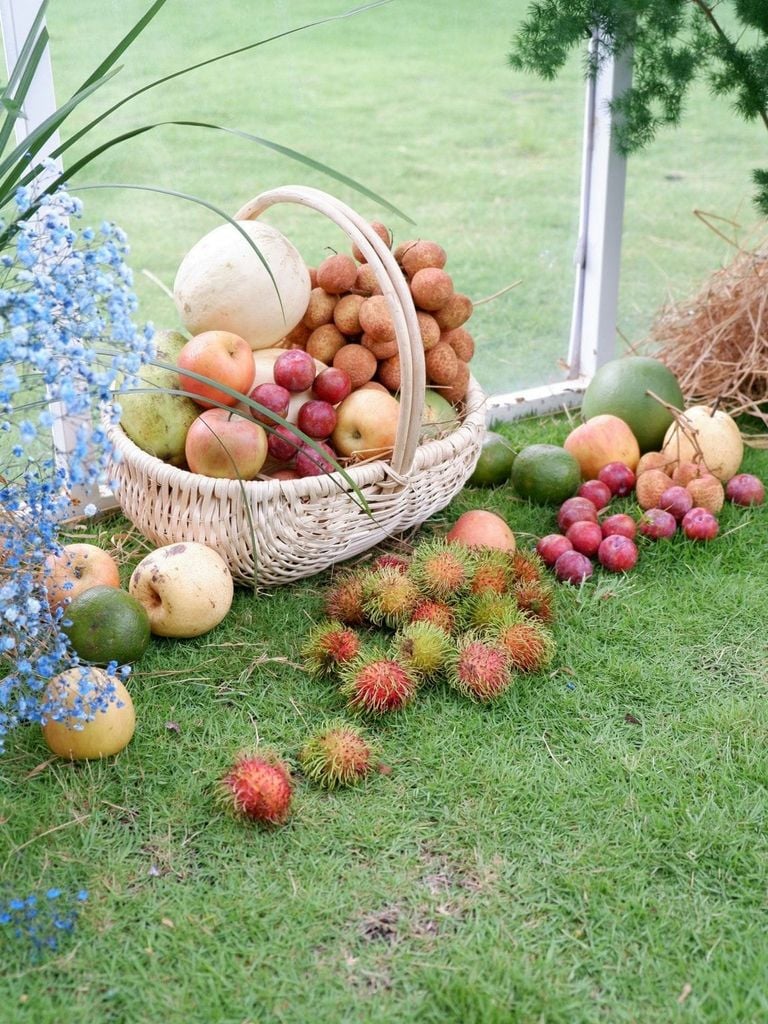 Miền nhiệt đới Blue Forest - Ecovillage