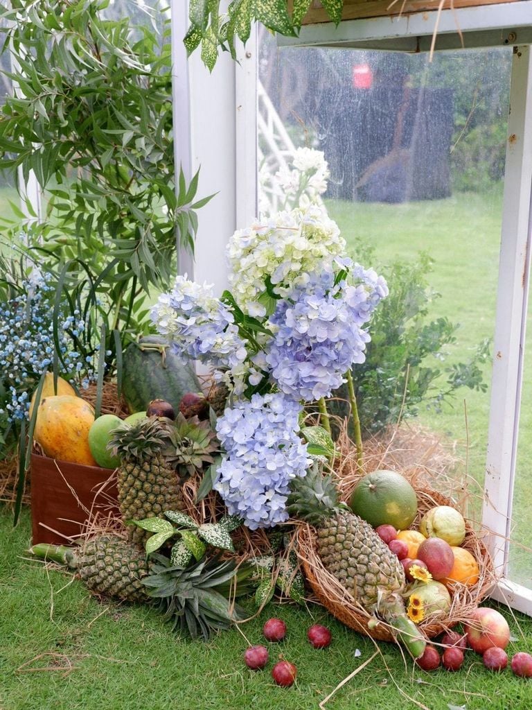 Miền nhiệt đới Blue Forest - Ecovillage