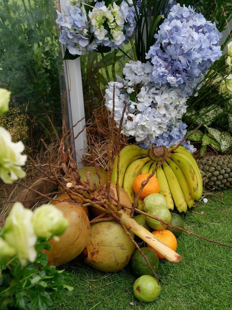 Miền nhiệt đới Blue Forest - Ecovillage