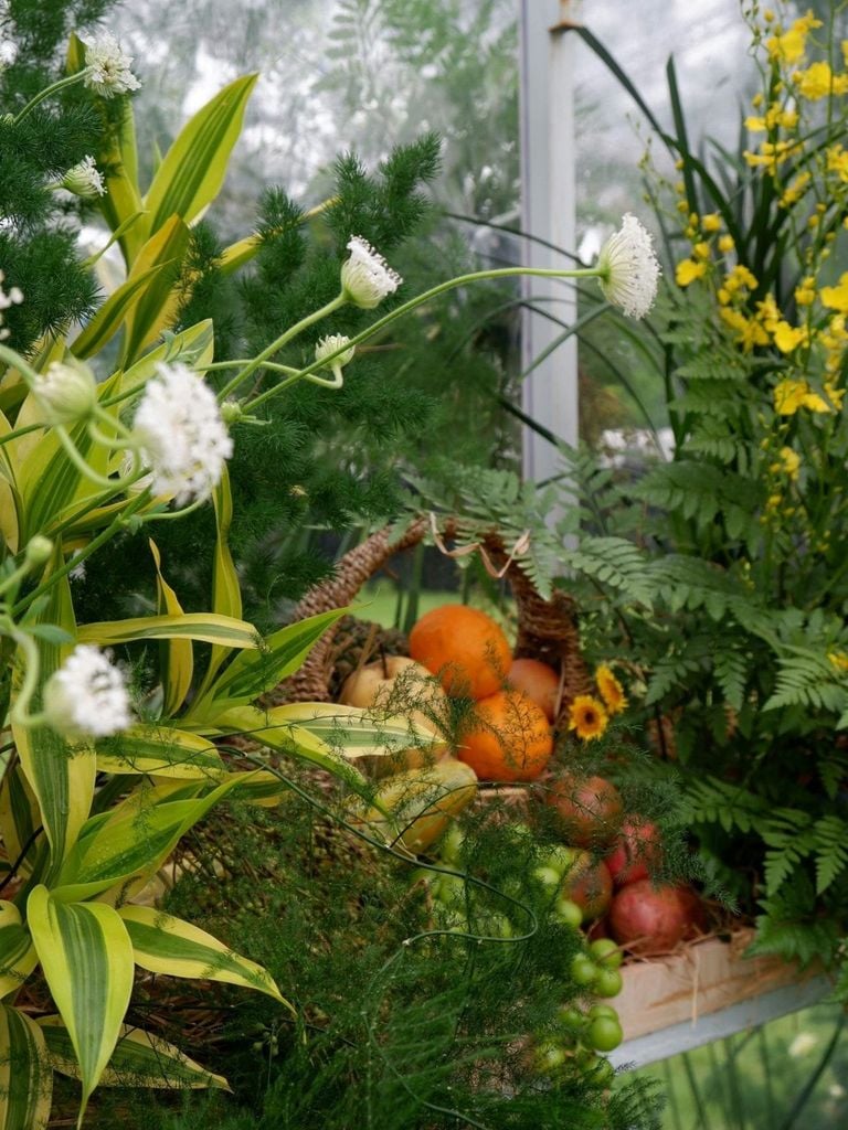 Miền nhiệt đới Blue Forest - Ecovillage