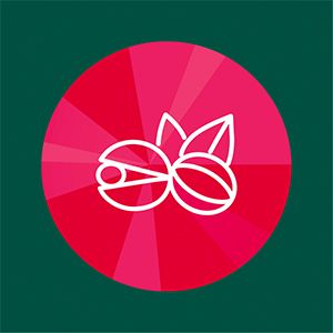 Berocca Boost Vitamin B & C ổi