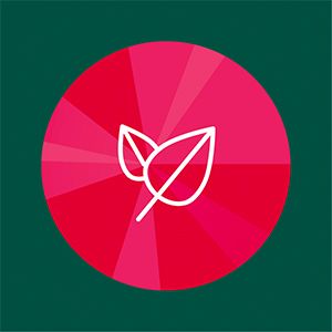 Berocca Boost Vitamin B & C ổi