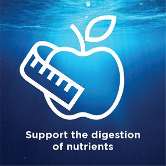 Cuộc sống-Không gian