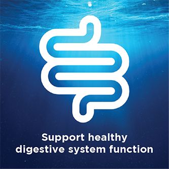 Cuộc sống-Không gian