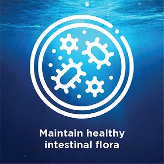 Cuộc sống-Không gian