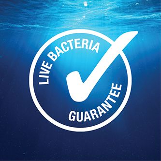 Cuộc sống-Không gian