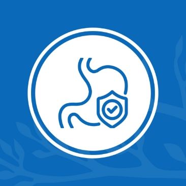 Con đường của thiên nhiên