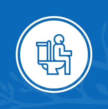 Con đường của thiên nhiên