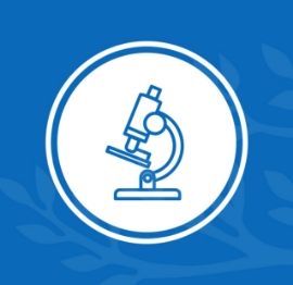 Con đường của thiên nhiên