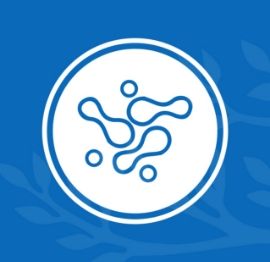 Con đường của thiên nhiên