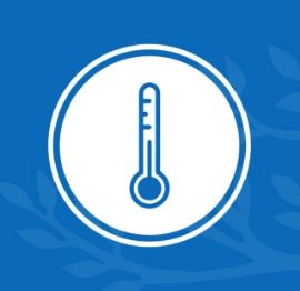 Con đường của thiên nhiên