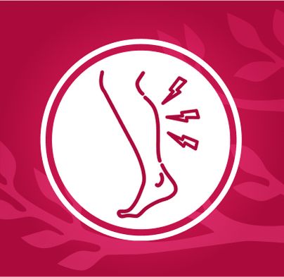 Con đường của thiên nhiên