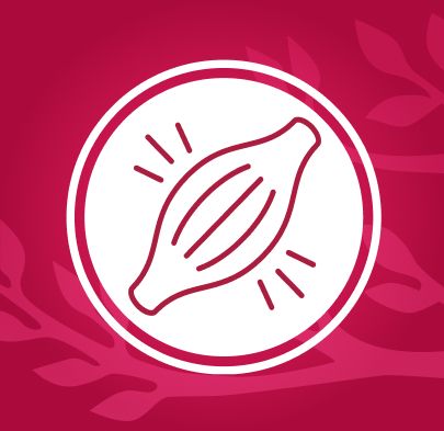 Con đường của thiên nhiên