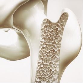 Nature's Way Canxi + Vitamin D3 200 viên