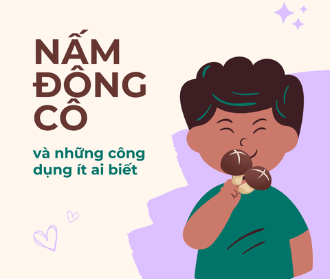 Nấm Đông Cô Và Những Công Dụng Ít Ai Biết