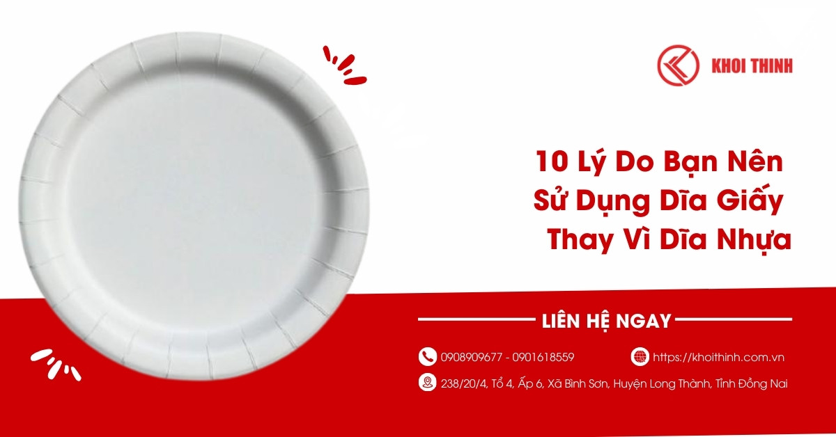 10 Lý Do Bạn Nên Sử Dụng Dĩa Giấy Thay Vì Dĩa Nhựa