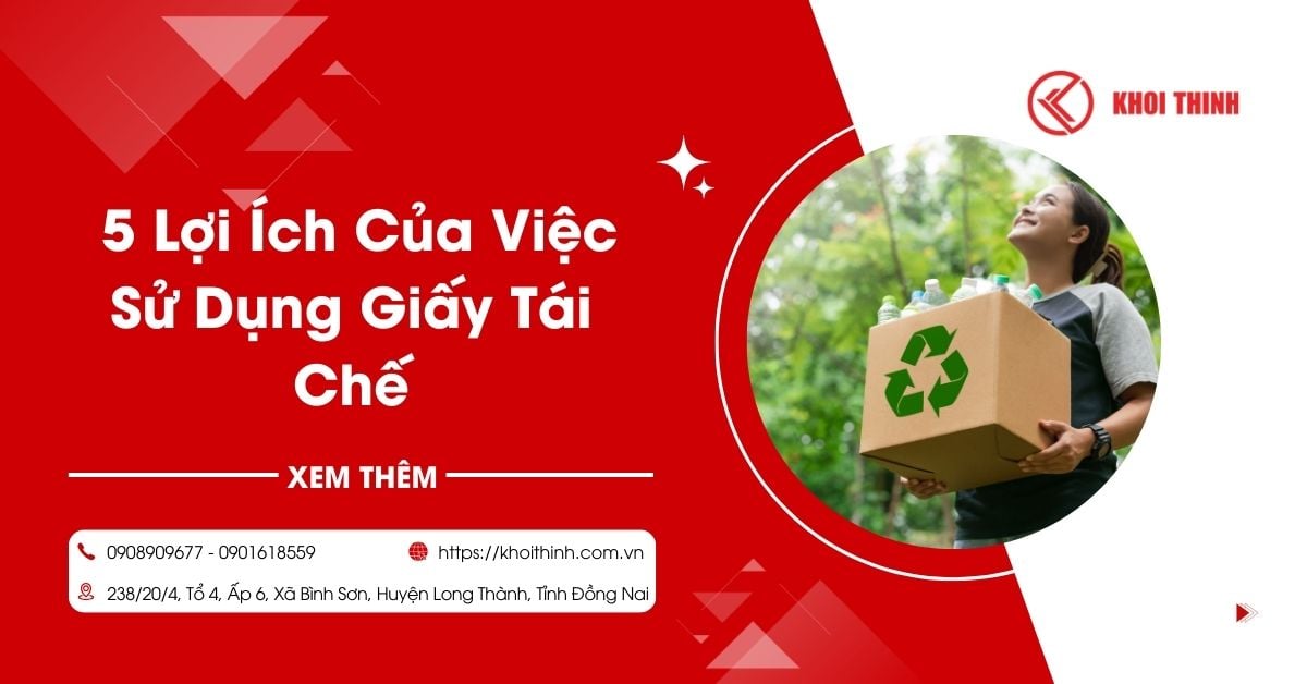 Giấy Tái Chế Là Gì? 5 Lợi Ích Của Việc Sử Dụng Giấy Tái Chế