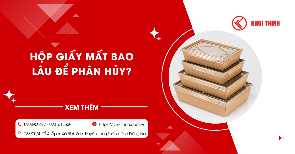 Hộp giấy mất bao lâu để phân hủy? Giải đáp chi tiết