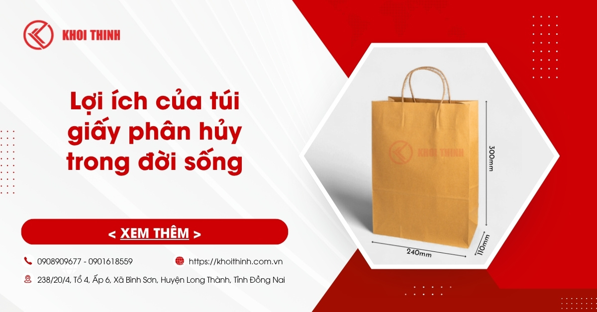 Lợi ích của túi giấy phân hủy trong đời sống