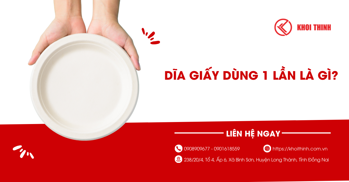 Dĩa giấy dùng 1 lần là gì? Lợi ích và lưu ý khi sử dụng