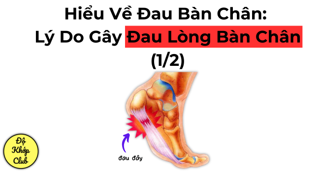 Hiểu Về Đau Bàn Chân:  Lý Do Gây Đau Lòng Bàn Chân (1/2)