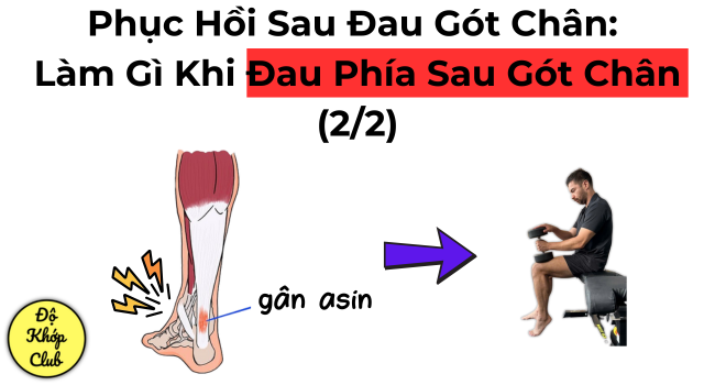 Phục Hồi Sau Đau Gót Chân:  Làm Gì Khi Đau Phía Sau Gót Chân (2/2)