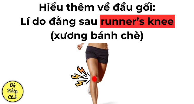 Hiểu thêm về đầu gối: Lí do đằng sau runner’s knee (xương bánh chè) 5/6