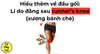 Hiểu thêm về đầu gối: Lí do đằng sau runner’s knee (xương bánh chè) 5/6