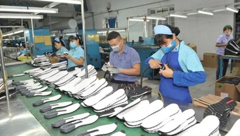 Đơn hàng giảm, sa thải, phá sản, chưa bao giờ các nhà máy sản xuất giày dép của Việt Nam gặp khó khăn đến thế