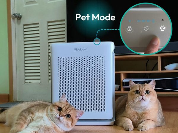 Những công dụng của máy lọc bụi không khí mà bạn nên biết