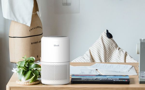 Máy lọc không khí chính hãng của Levoit có tốt không?