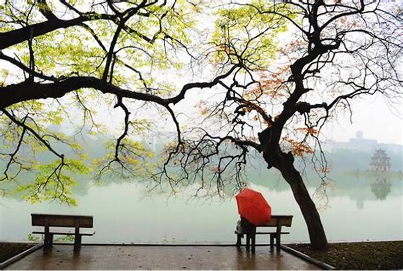 Nồm là gì? Mùa nồm kéo dài bao lâu? Cách chống ẩm hiệu quả vào mùa nồm