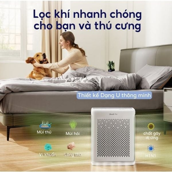 máy lọc không khí cao cấp