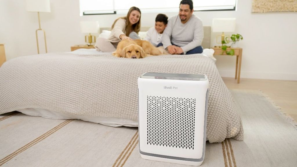 Levoit Vital 200S có chế độ Pet Mode chuyên dụng