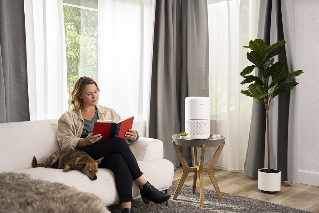 Levoit Core 300S có thiết kế nhỏ gọn, tiện dụng