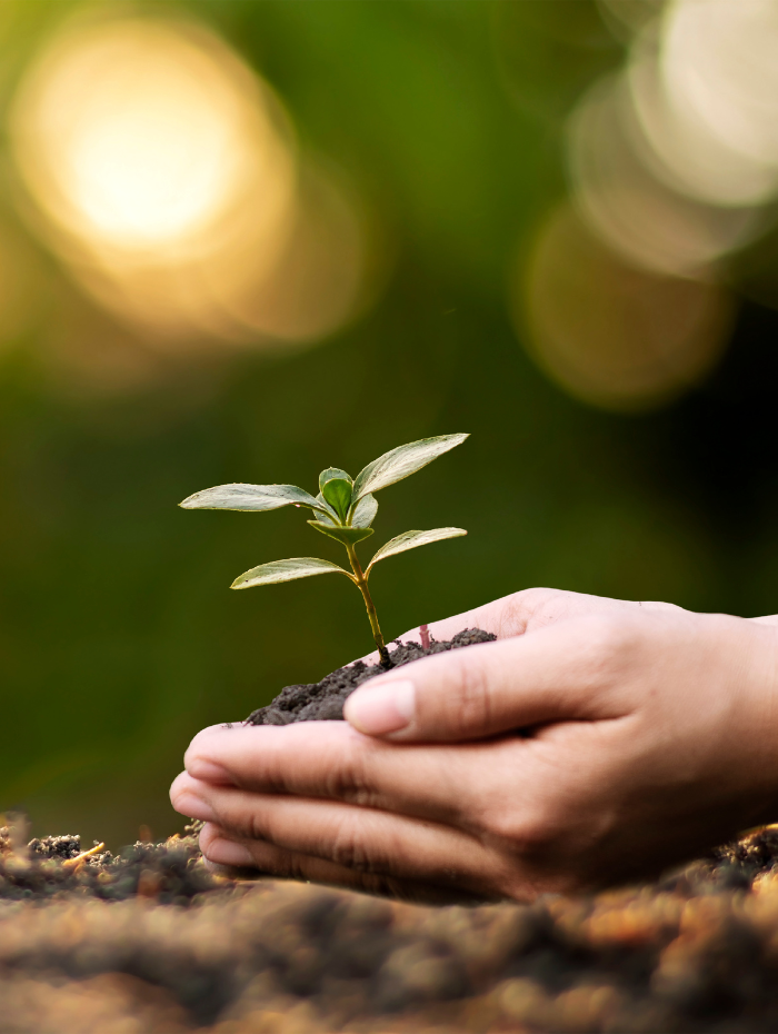 Phát Triển Bền Vững 