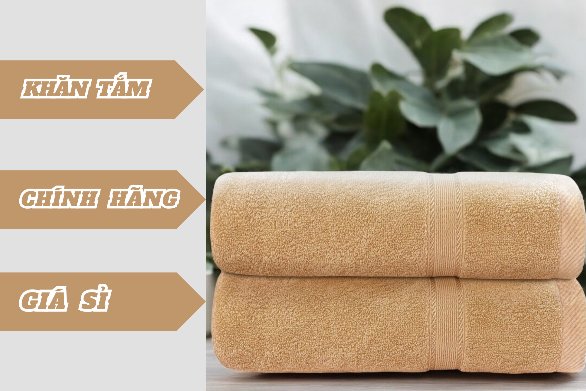 Mua khăn tắm chính hãng giá sỉ ở đâu? Địa chỉ mua khăn tắm chất lượng, giá tốt