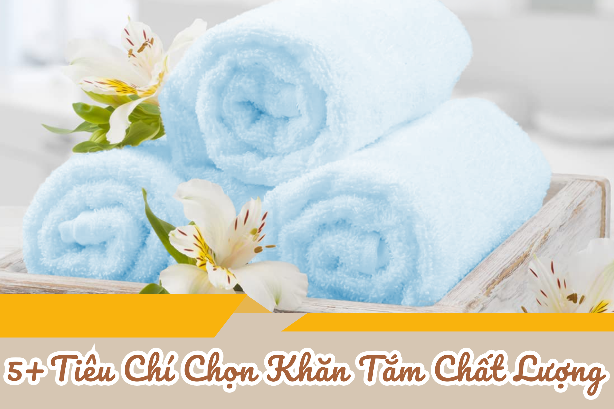 Top5 tiêu chí vàng chọn khăn tắm chất lượng ai cũng cần biết