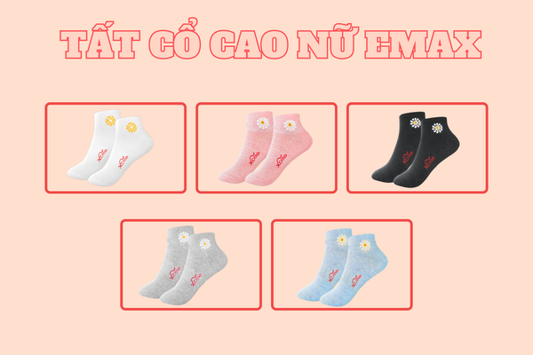 mua-tat-nu-dep-o-dau-hai-duong-dia-chi-mua-tat-nu-chinh-hang-gia-tot