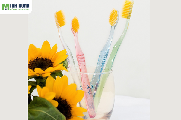 bo-tui-ngay-top4-tieu-chi-chon-ban-chai-danh-rang-phu-hop-chat-luong