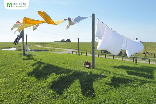 top5-meo-giu-mau-giu-phom-ao-polo-ben-dep