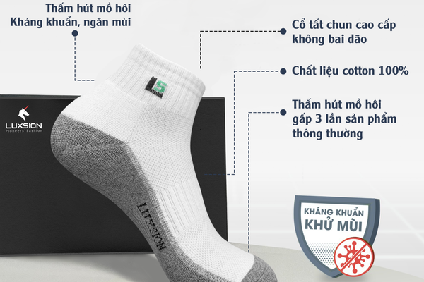 tat-cong-so-nam-luxsion-lua-chon-hang-dau-cua-anh-em-van-phong