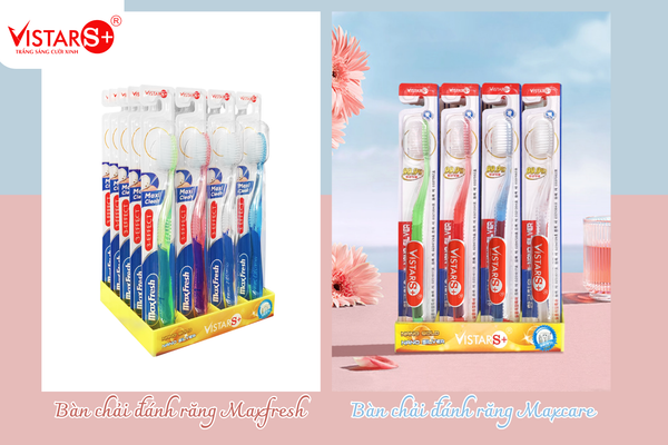 ban-chai-danh-rang-vistar-tuyen-dai-ly-nha-phan-phoi-doc-quyen-toan-quoc