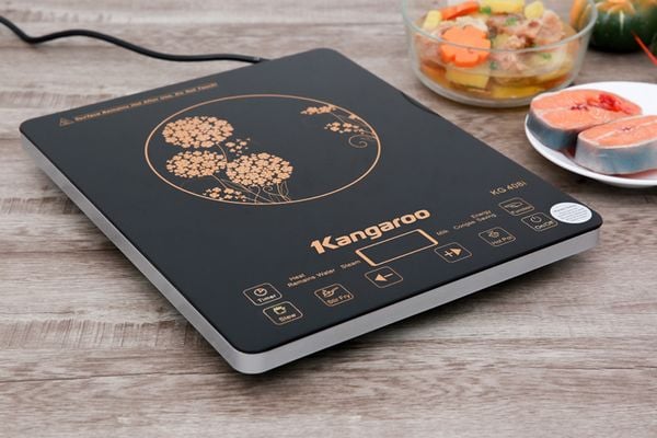 bep-tu-kangaroo-blog
