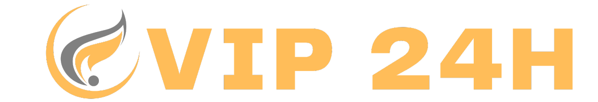 Bếp Gas Vip24h