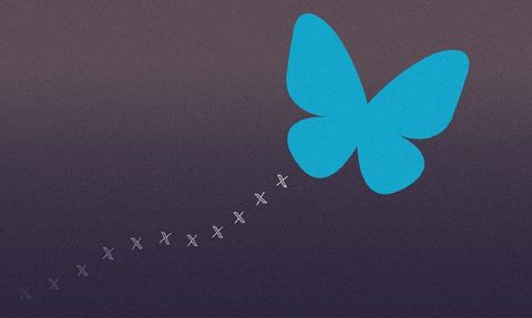 Tại sao mọi người lại rời bỏ “quảng trường thị trấn kỹ thuật số” của Elon Musk?