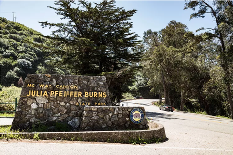 8 địa điểm cắm trại đẹp nhất ở Big Sur – View rừng và biển khiến bạn luôn muốn quay lại