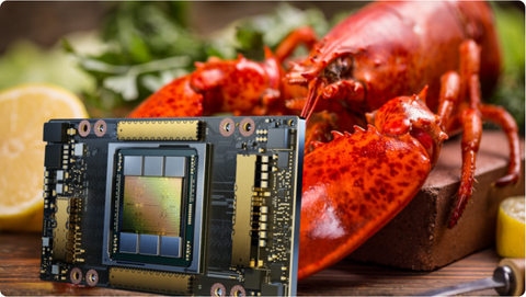 Tôm hùm và bụng bầu silicon: Những chiêu thức “cõng” chip AI vào Trung Quốc