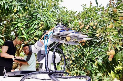 Vải thiều và cuộc cách mạng công nghệ nông nghiệp: Drone, robot, AI và 5G tạo nên mùa vàng tại Quảng Đông